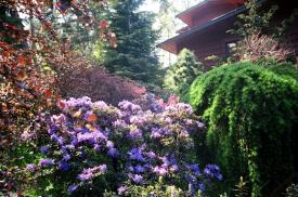 Garden in Summer splendor